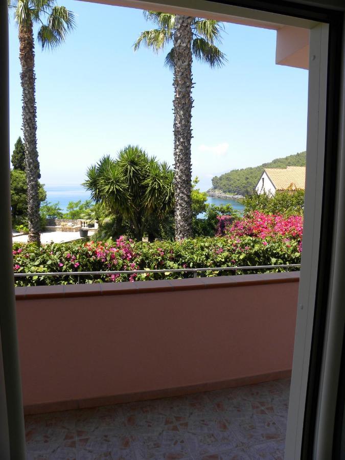 Comfortable Apartment In Maratea With Sea View 95 M² + Parking Екстер'єр фото